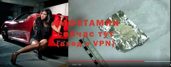 твердый Бородино
