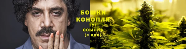 ГАЛЛЮЦИНОГЕННЫЕ ГРИБЫ Бугульма