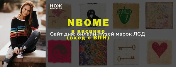 твердый Бородино