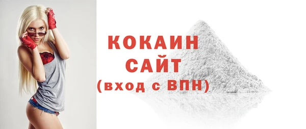 твердый Бородино