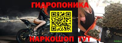 стаф Дубна