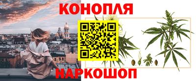 стаф Дубна