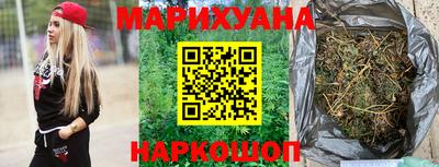 стаф Дубна