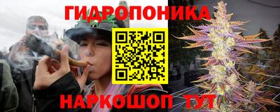 стаф Дубна