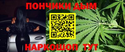 стаф Дубна