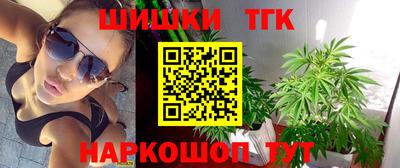 стаф Дубна