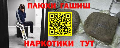 стаф Дубна