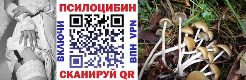 Галлюциногенные грибы Psilocybe  ссылка на мегу сайт  Можайск 