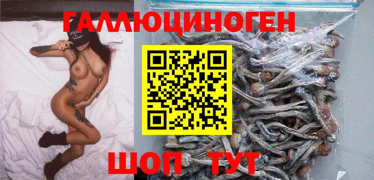 Псилоцибиновые грибы MAGIC MUSHROOMS  Галлюциногенные грибы мицелий  Вход с VPN  Можайск 